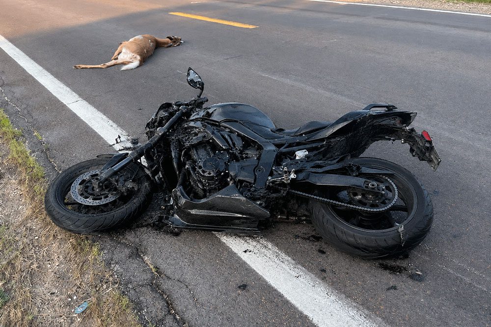 Motorcycle Vs. Deer Accidents How Risk And Injury Severity Compare